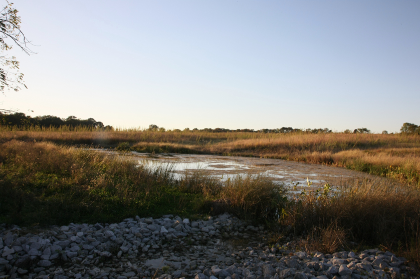 Full Size Image = 1143 K