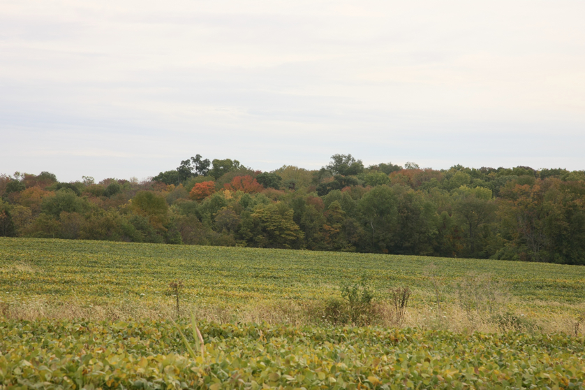 Full Size Image = 1211 K