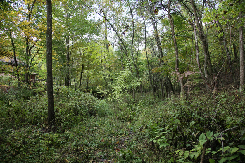 Full Size Image = 2788 K