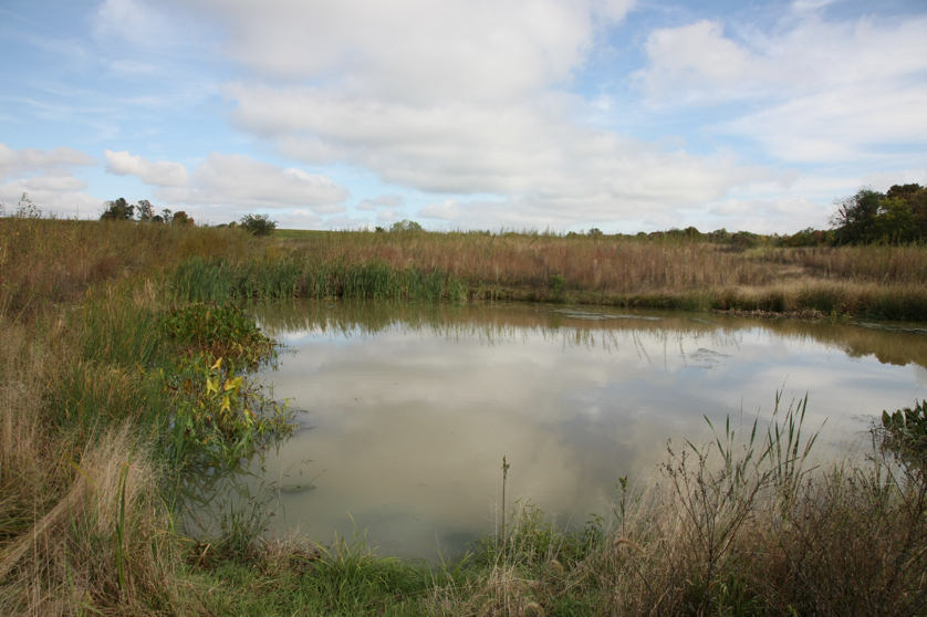 Full Size Image = 1254 K