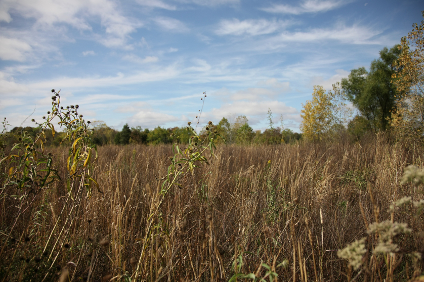 Full Size Image = 1470 K