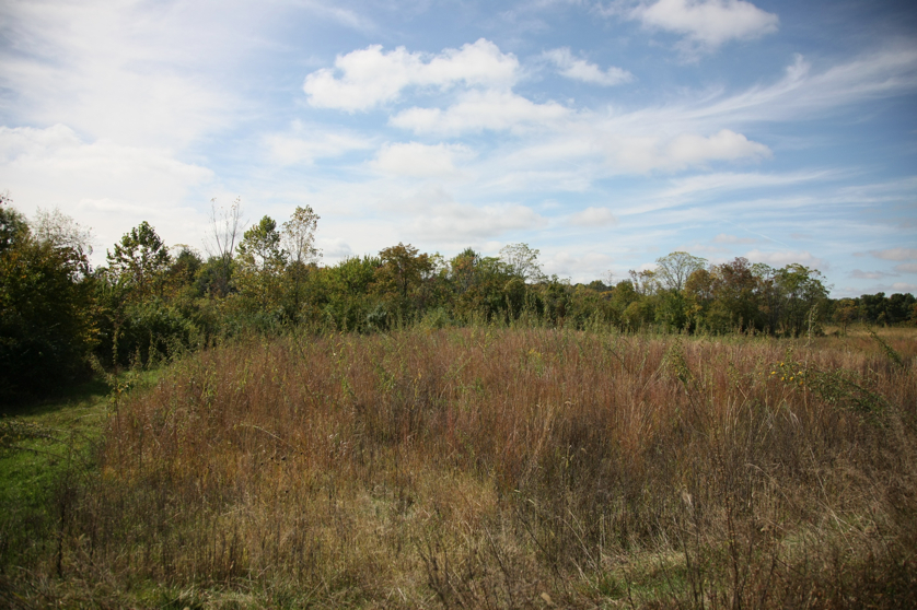 Full Size Image = 1582 K