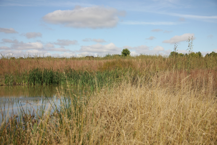 Full Size Image = 1378 K