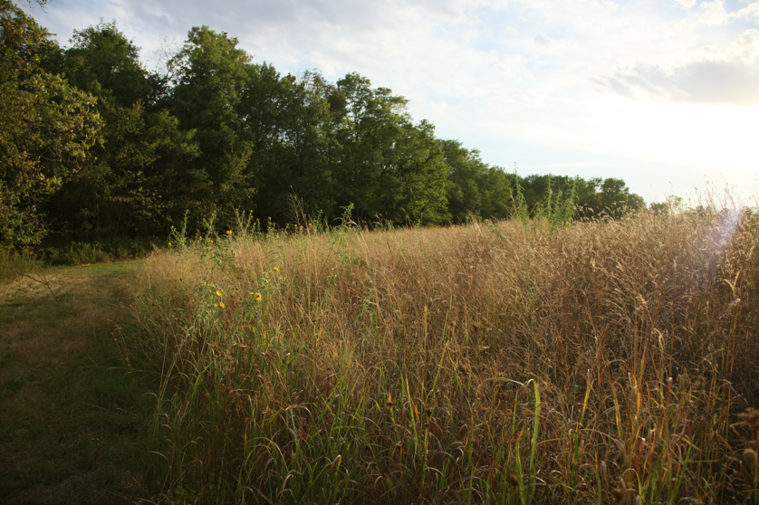 Full Size Image = 5320 K