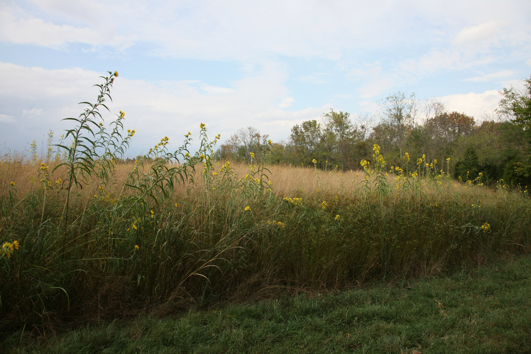 Full Size Image = 15741 K