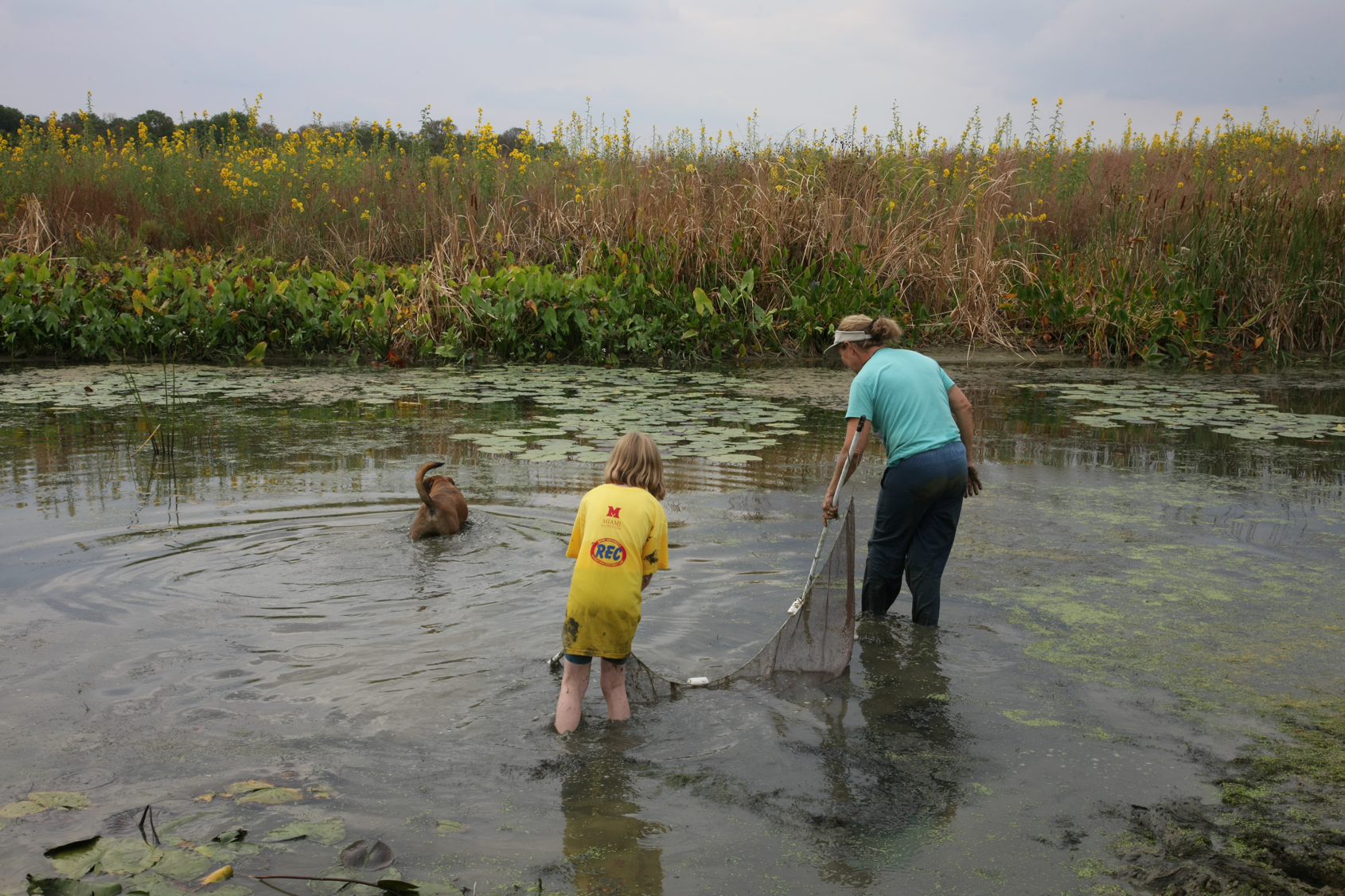 Full Size Image = 15762 K