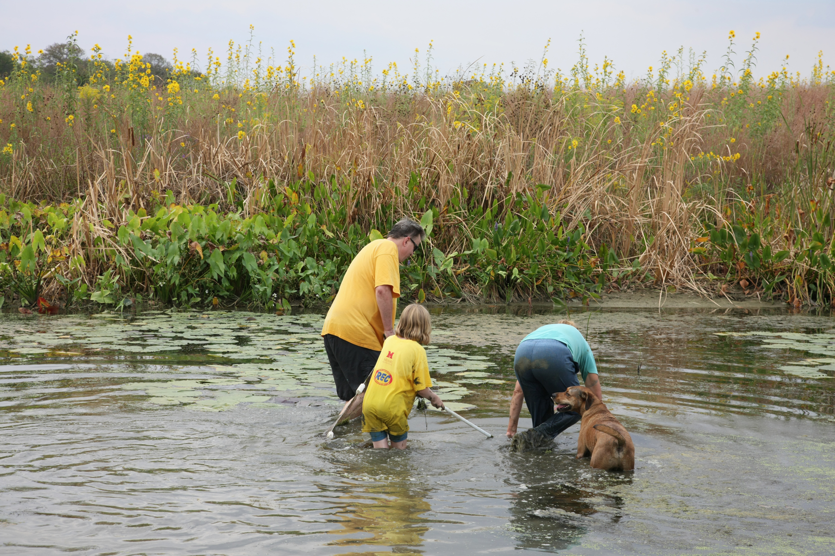 Full Size Image = 17819 K