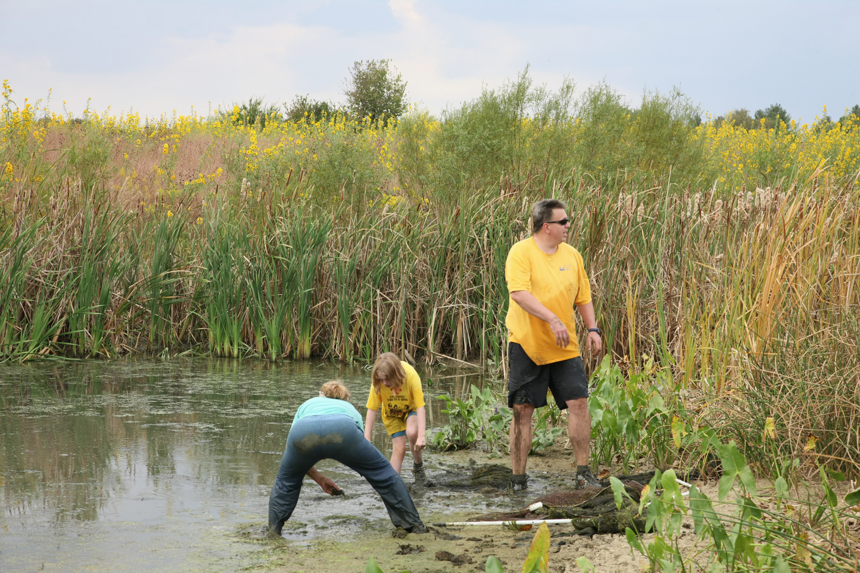 Full Size Image = 18905 K