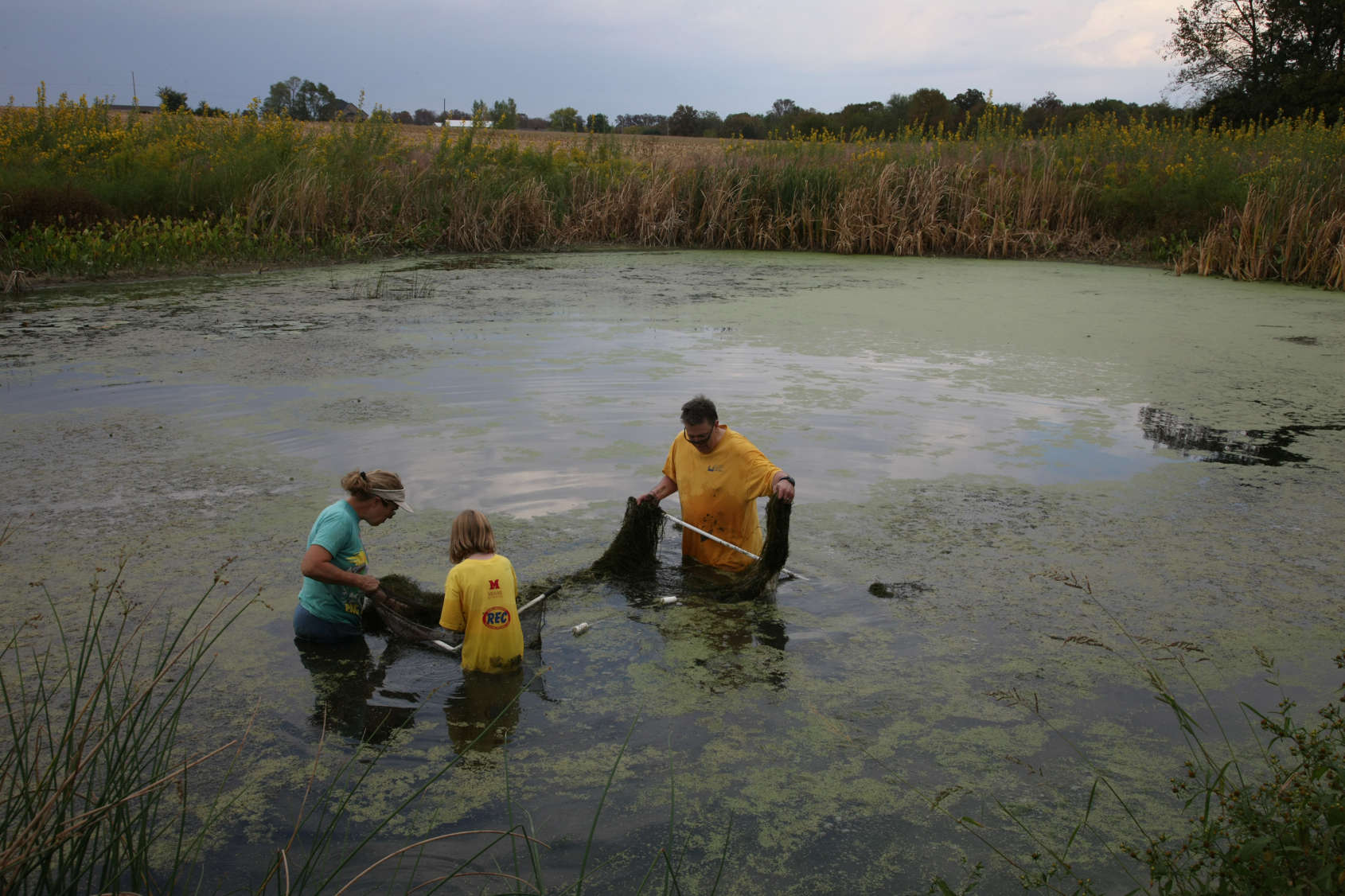 Full Size Image = 14717 K