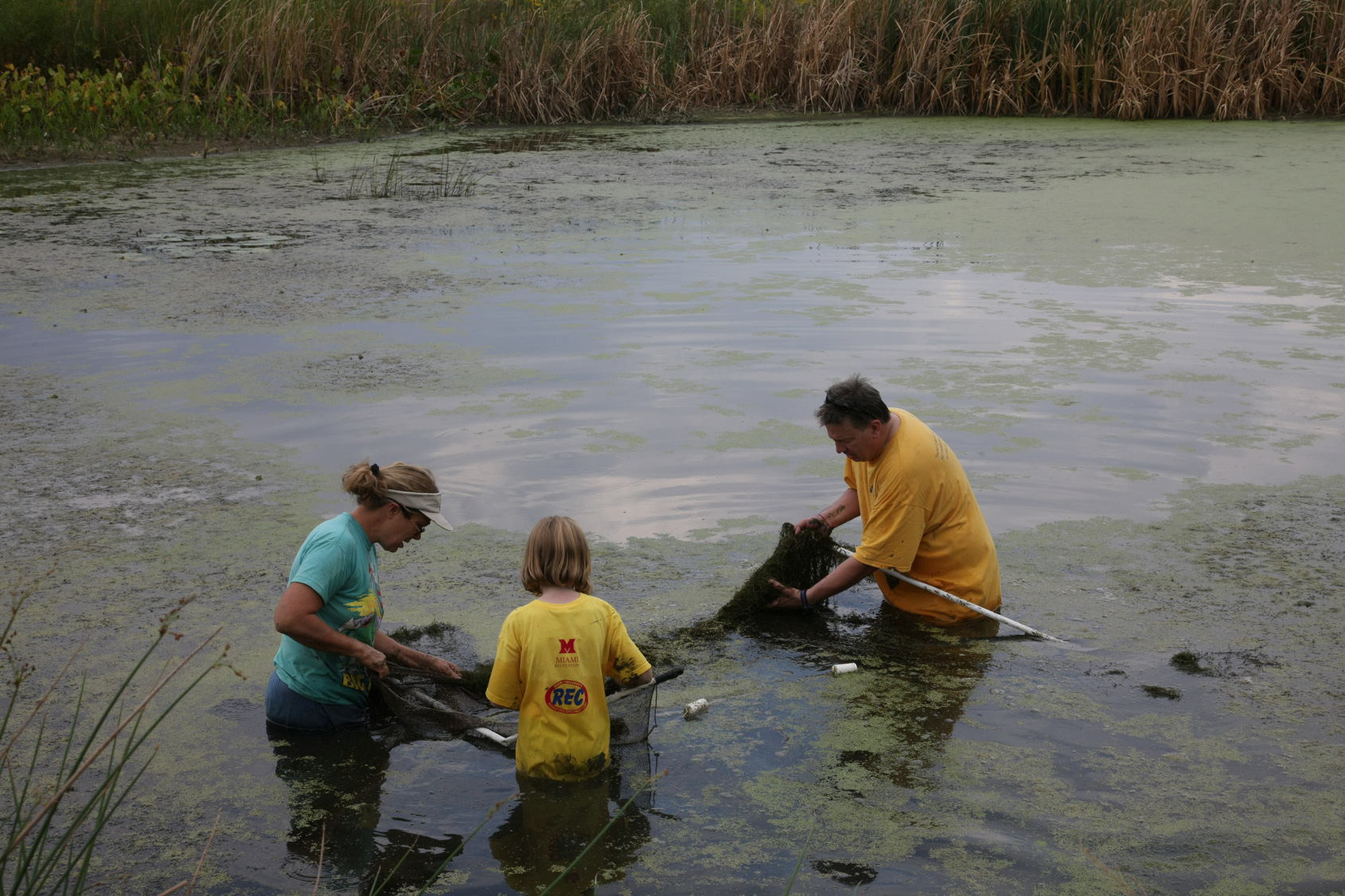 Full Size Image = 14539 K