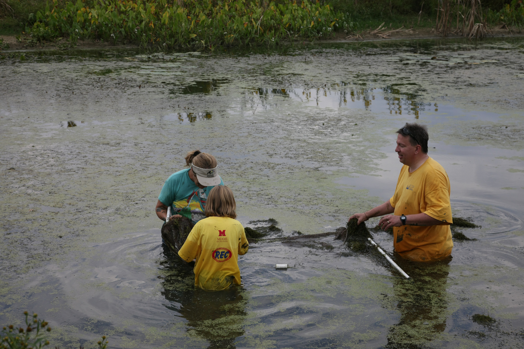 Full Size Image = 14252 K