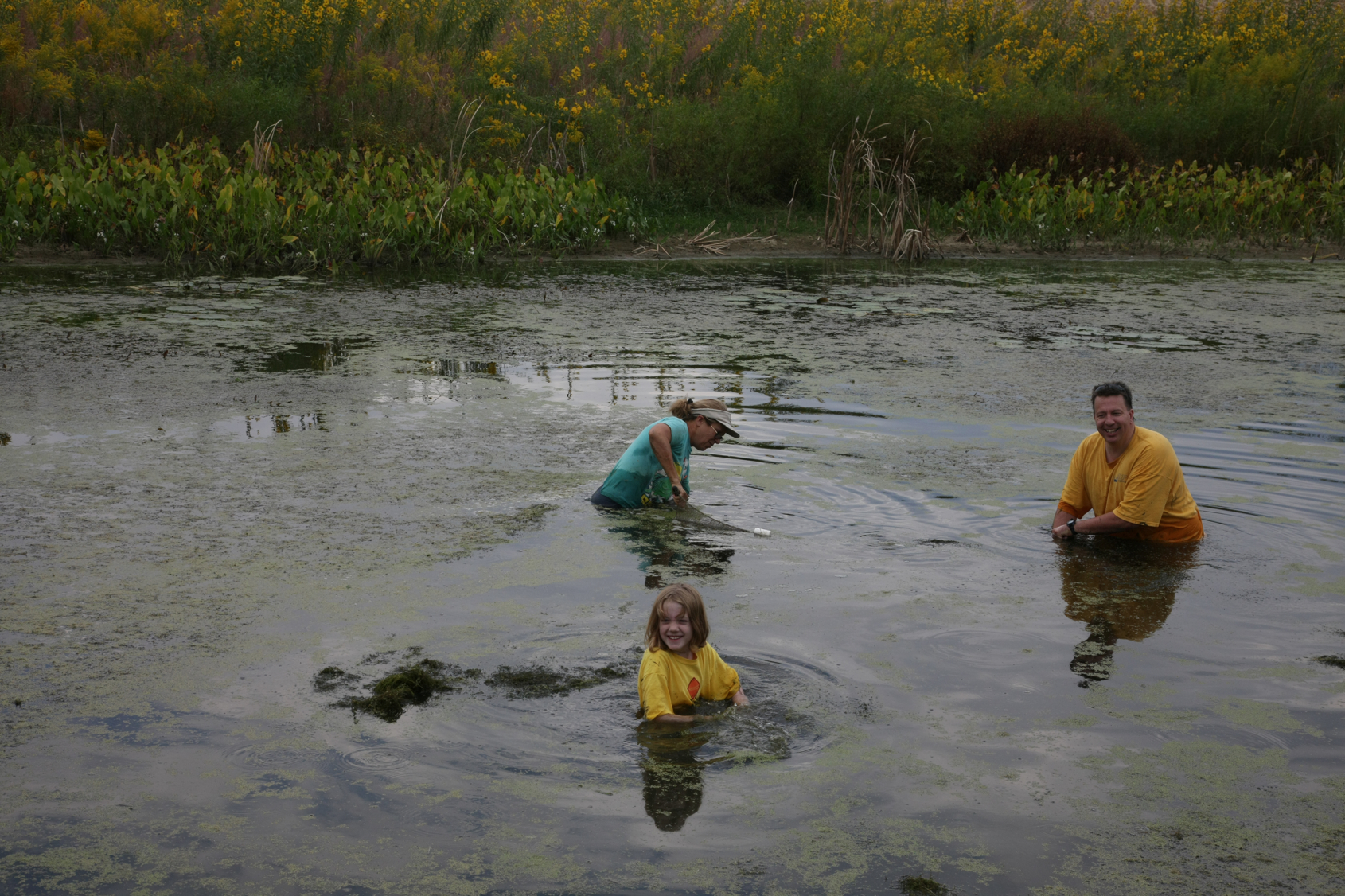 Full Size Image = 15181 K