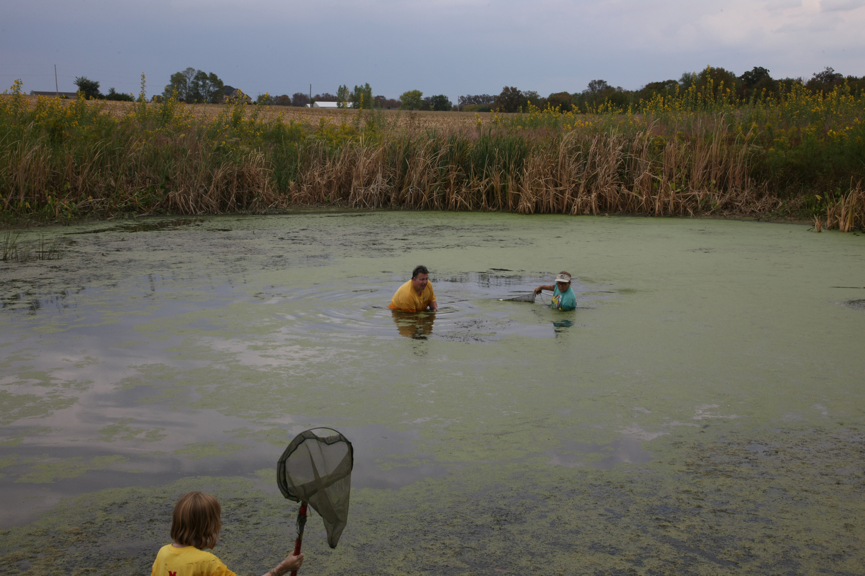 Full Size Image = 13963 K