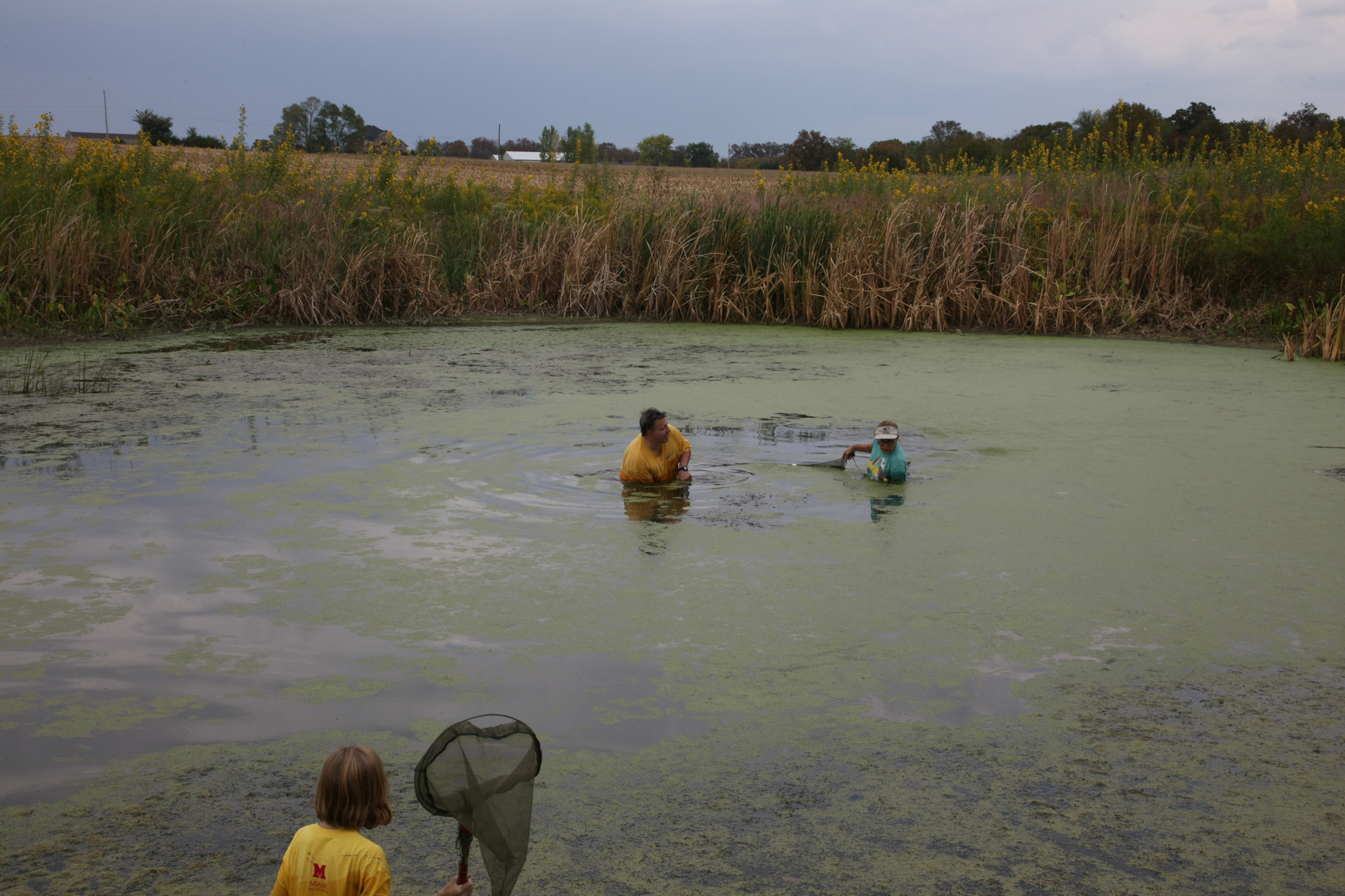 Full Size Image = 13902 K