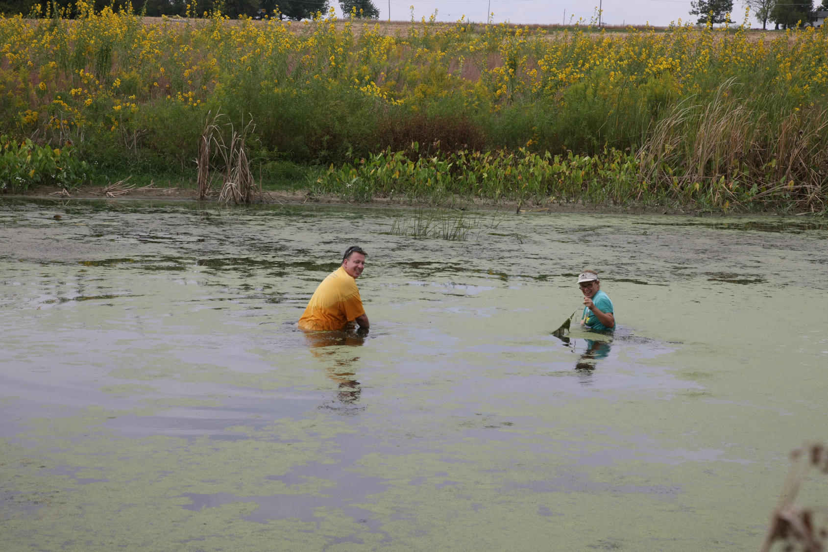 Full Size Image = 16588 K