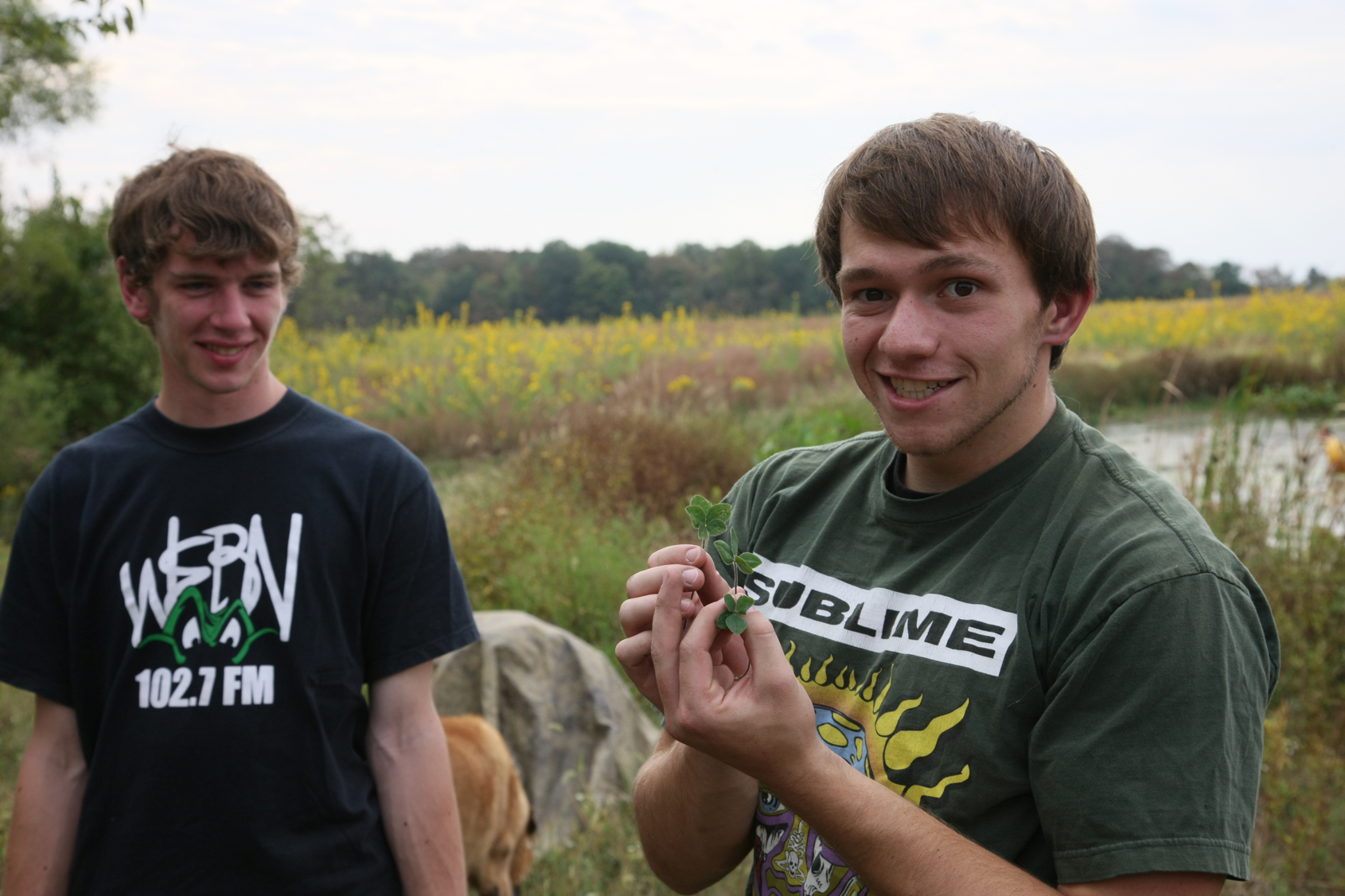 Full Size Image = 10625 K