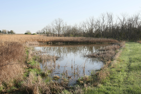 Full Size Image = 2965 K