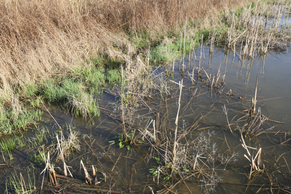 Full Size Image = 3495 K