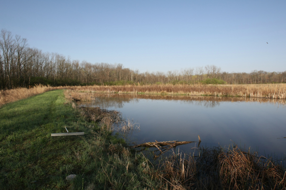 Full Size Image = 2099 K