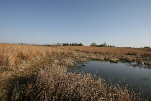 Full Size Image = 2228 K