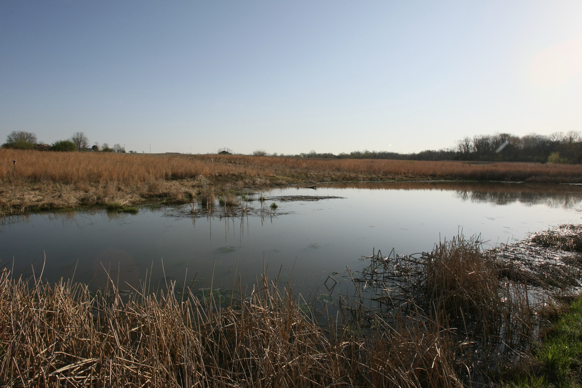 Full Size Image = 2053 K