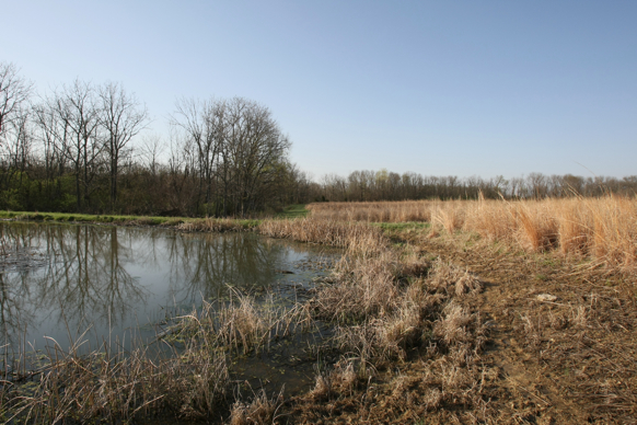 Full Size Image = 2673 K