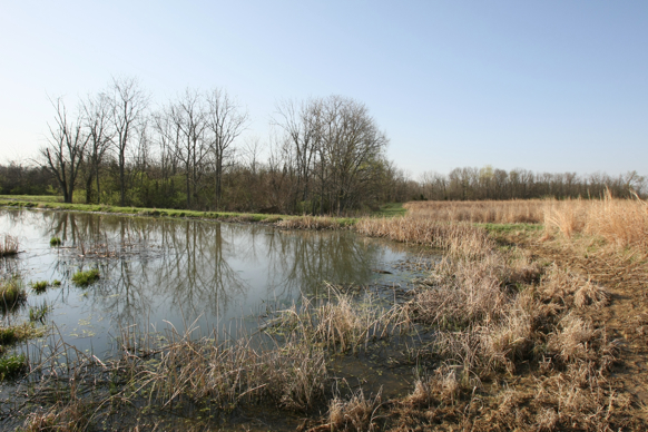 Full Size Image = 2756 K