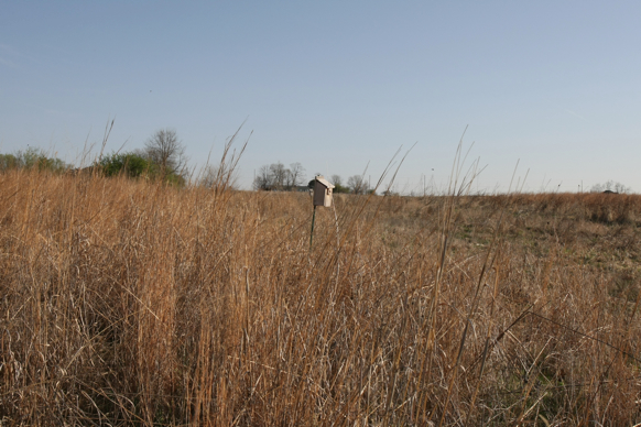 Full Size Image = 2503 K