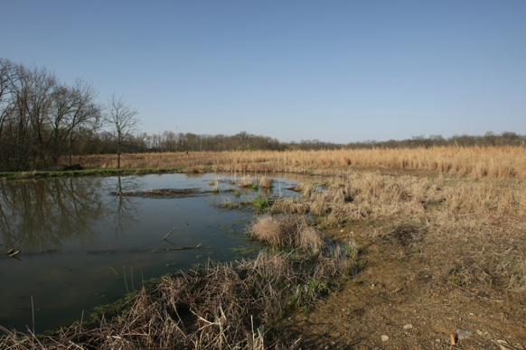 Full Size Image = 2363 K