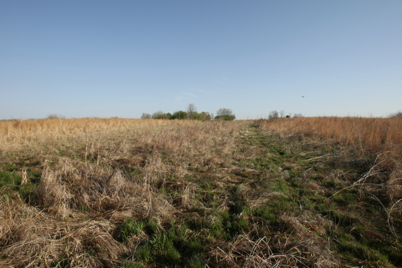 Full Size Image = 2480 K