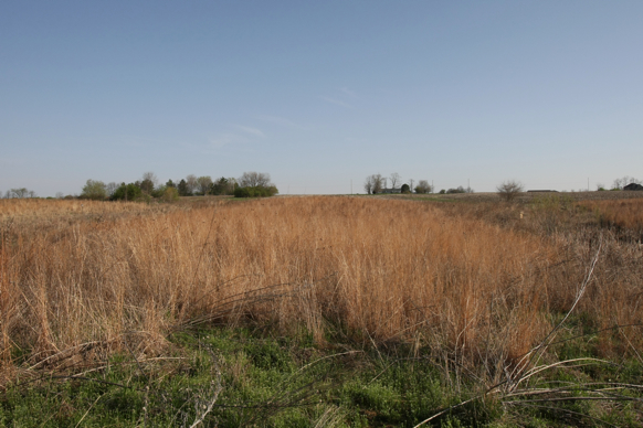 Full Size Image = 2343 K