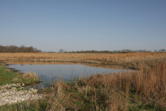 Full Size Image = 2197 K