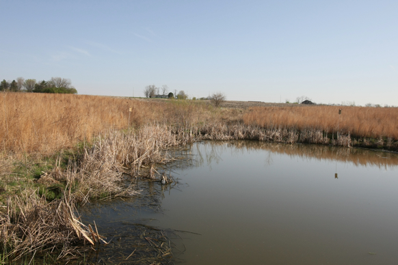 Full Size Image = 1960 K