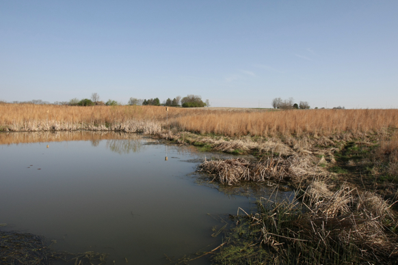 Full Size Image = 1919 K