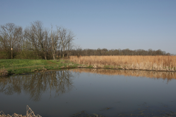 Full Size Image = 1843 K