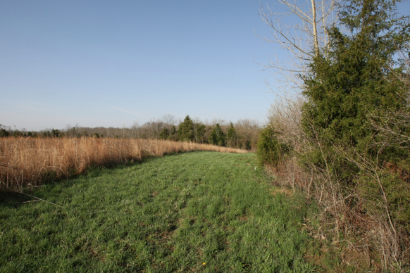 Full Size Image = 2858 K