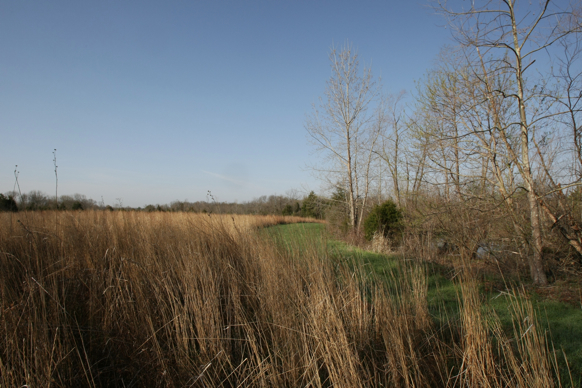 Full Size Image = 2551 K