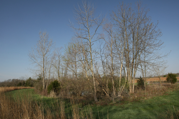 Full Size Image = 2718 K