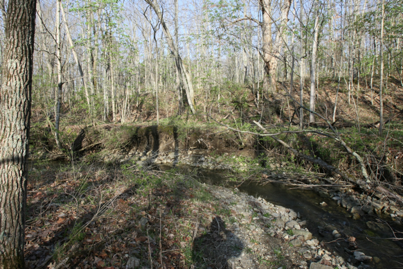 Full Size Image = 3785 K