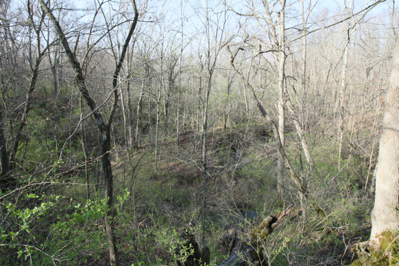 Full Size Image = 3829 K