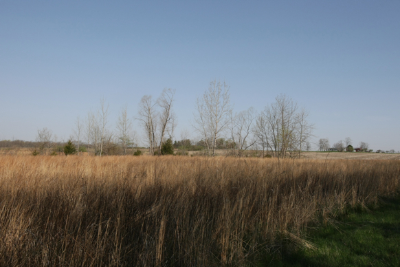 Full Size Image = 1992 K