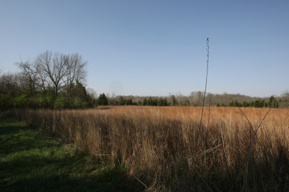 Full Size Image = 2027 K