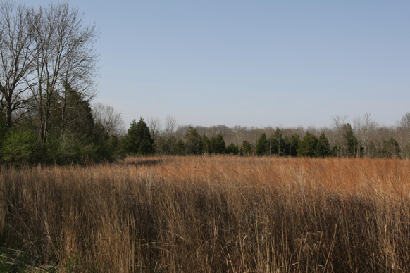 Full Size Image = 2369 K