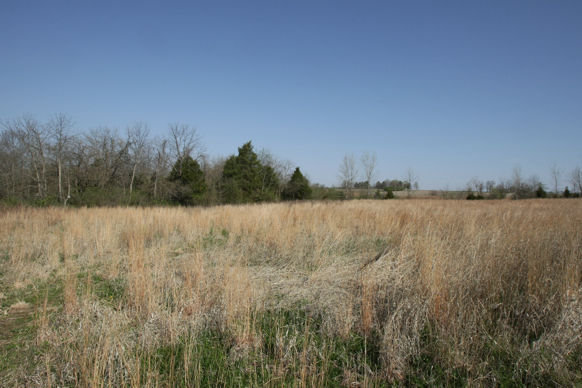 Full Size Image = 2463 K