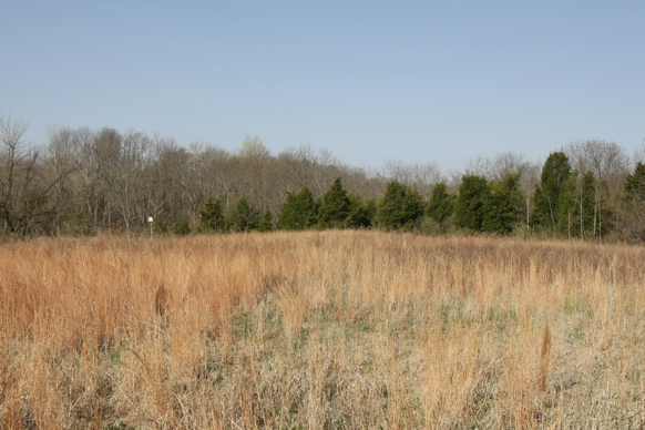 Full Size Image = 2452 K