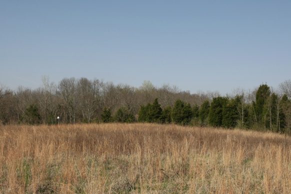 Full Size Image = 2216 K