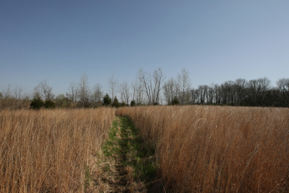 Full Size Image = 2210 K