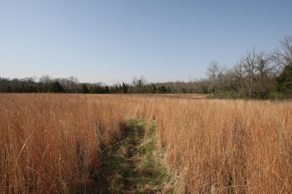 Full Size Image = 2411 K