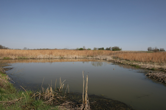 Full Size Image = 1760 K