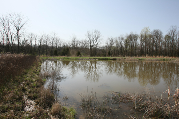 Full Size Image = 2594 K